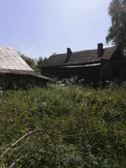 Жилой дом, площадь 46.5 кв.м., кадастровый номер 32:03:0050601:100 и 
Земельный участок, кадастровый номер: 32:03:0050601:34, площадь 3200 кв.м., назначение: ЗЕМЛИ НАСЕЛЕННЫХ ПУНКТОВ, Находится в долевой собственности, размер доли: 1/1
Адрес: Россия, 243368, Брянская обл, Выгоничский р-н, , п…