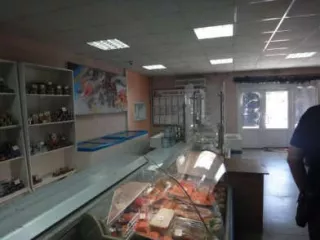 Нежилое помещение площадью 353,9 кв.м, кад. № 36:34:0307023:1471, расположенное по адресу: Воронежская обл., г. Воронеж, ул. Ростовская, д.26, пом.1, находящееся в залоге ПАО Сбербанк.