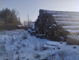 Сосна и лиственница, 414.22 м3, Красноярский край. 817 сортиментов древесины породы сосна длиной 6 м и 3 м3, 395.51м3, 83 сортимента породы лиственница длиной 6 м и 3 м-18.71м3. Срублен в середине 2024 года. Хранился на открытой площадке, почернел, кора отслаивается. Находится Красноярский край, с…