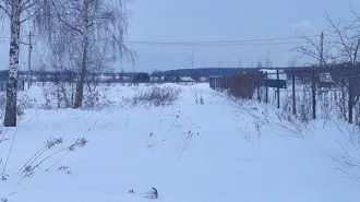 Земельный участок 1200 кв.м, Московская область. Кадастровый номер 50:23:0050436:405. Основной вид разрешенного использования: 2.2.