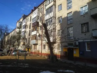 Нежилое помещение № IV площадью 171,6 кв.м. (этаж подвал), расположенное по адресу: Брянская область, г.Брянск, ул. Грибоедова, д.3, пом.IV, кадастровый номер 32:28:0031535:101. Год ввода в эксплуатацию: 1960. Вид ограничений и обременений: -. Общая площадь: 171.6. Кадастровый номер…