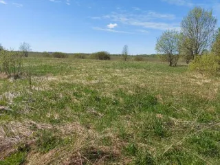 Лот № 1. Земельный участок площадью 635±9 кв. м, кадастровый номер 60:18:0112401:237. Местоположение установлено относительно ориентираЮ расположенного в границах участка. Почтовый адрес ориентира: Псковская область, Псковский район, СП «Логозовская волость», д. Тупы. Категория земель - земли…