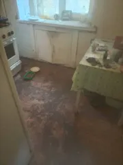 1/2 доли квартиры, 30.6 кв.м., назначение: Жилое, этаж: 3, адрес (местонахождение): Россия, г. Рязань, ул. Гагарина, д. 55, кв. 9, кадастровый (условный) номер: 62:29:0070022:818