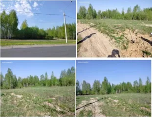 Земельный участок 1029 кв.м, Нижегородская область, д. Новоликеево, государственная собственность на который не разграничена, расположенный по адресу: Российская Федерация, Нижегородская область, Кстовский муниципальный округ, д. Новоликеево, участок № 3, кадастровый номер 52:26:0070009:4554, с…