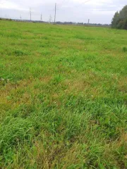 Земельный участок площадью 131000 кв.м. Адрес: 627033, Тюменская область, Ялуторовский район, село Киёво. Кадастровый номер: 72:21:0000000:28. Вид собственности: индивидуальная.