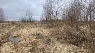 Аренда земельного участка 1 300 кв.м. для ЛПХ в г.о. Клин (КН 50:03:0030315:725) Аренда земельного участка 1 300 кв.м. для ЛПХ в г.о. Клин (КН 50:03:0030315:725) 
Площадь земельного участка: 1300 
Кадастровый номер земельного участка: 50:03:0030315:725 
Вид разрешённого использования земельного…