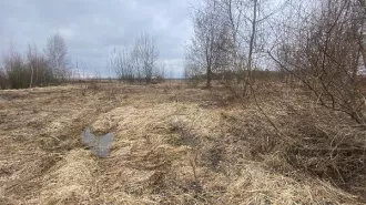 Аренда земельного участка 1 300 кв.м. для ЛПХ в г.о. Клин (КН 50:03:0030315:725) Аренда земельного участка 1 300 кв.м. для ЛПХ в г.о. Клин (КН 50:03:0030315:725) 
Площадь земельного участка: 1300 
Кадастровый номер земельного участка: 50:03:0030315:725 
Вид разрешённого использования земельного…