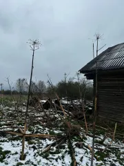 Земельный участок для ЛПХ и ИЖС, площадь 4000 кв.м., адрес: Россия, обл. Тверская, р-н Кашинский, д. Раднево, дом 22, кадастровый номер: 69:12:0200301:51. Вид права: собственность.