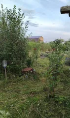 Земельный участок для садоводства, 599 кв.м, Томская область, кадастровый номер 70:22:0010217:201, назначение: для садоводства, адрес: Россия, обл. Томская, г. Северск, СНТ "МИР", квартал 3, ул. Тракторная, участок 661, вид собственности: индивидуальная.