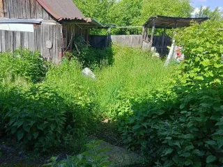 Доли в праве на жилой дом 53.8 кв.м и земельный участок 750 кв.м Рязанская обл 1/4 доля дома и 1/2 доля земельного участка в Рязанской обл. Земельный участок, площадь 750 кв.м., адрес (местонахождение): 391234, Рязанская обл, Кораблинский р-н, деревня Октябрь, ул Октябрьская, д 59, кадастровый…