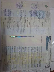 Chevrolet Niva 2006, легковой автомобиль (универсал), Chevrolet Niva Р819УС48. Вид транспорта: Chevrolet Niva, год выпуска 2006, государственный регистрационный знак: р819ус48, VIN номер: Х9L21230060113422, марка: шевроле нива, модель: шевроле нива.