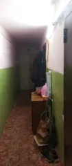 8/100 доли комнаты, 12.6 кв.м., Пермский край, г Чайковский, ул Ленина, д 2, кв 46, кадастровый (условный) номер: 59:12:0010316:484.