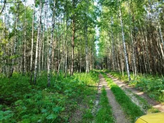 Земельный участок, 495300 кв.м, Нижегородская область, Сокольский район Имущество АО «КАПИТАЛ АСИСТАНС»: земельный участок, кадастровый номер 52:07:0800006:1592, 495300 кв.м. Земельный участок для индивидуального жилищного строительства, земли населенных пунктов, кадастровый номер…