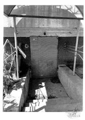 Нежилое помещение 255.5 кв.м, Севастополь, кадастровый номер 91:03:003005:618, расположенное по адресу: г. Севастополь, ул. Курганная, д. 24, помещ. с I-1 по I-30, цокольный этаж № б/н. Общая площадь: 255.5 кв.м. Расположение в пределах объекта недвижимости: цокольный этаж № б/н. Назначение…