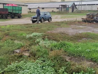 Право аренды земельного участка с кадастровым номером 64:19:080104:18 площадью 160 271 кв. м, расположенного по адресу: Саратовская область, Лысогорский район, в 1 км 375 м севернее села Чадаевка.