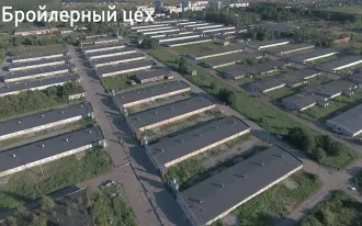 Предприятие (имущественный комплекс) ООО «Русско-высоцкая птицефабрика», состав и характеристики которого указаны в приложении №1 к настоящему сообщению, а также к сообщению ЕФРСБ №19354226 от 05.09.2025. Часть имущества является предметом залога ООО «Управляющая компания «Сигнал» и ФНС России…