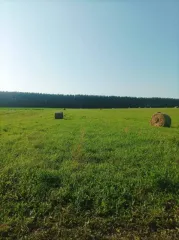 Земельный участок 7000 кв.м Респ Марий Эл, площадь 7000 кв.м, категория земель: земли населенных пунктов, разрешенное использование: для ведения личного подсобного хозяйства, адрес: Россия, Респ Марий Эл, р-н Новоторъяльский, д Ноли Кукмарь, ул Ноли Кукмарь, дом 25, кадастровый номер…