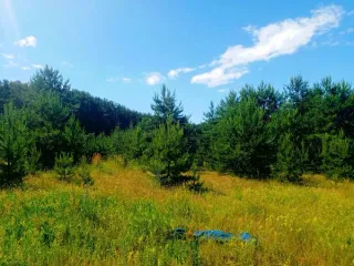 Земельный участок, площадь 929, кадастровый номер 50:34:0020202:3023, основной вид разрешенного использования: 2.2.