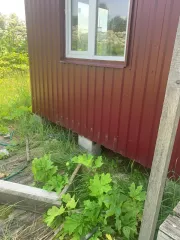 Временное строение  сооружение , расположенное на земельном участке с кадастровым номером 50:07:0030306:140 по адресу: обл Московская, р н Волоколамский, г Волоколамск, д.Хворостинино, Ясная, дом 6 Реализуемый объект не является объектом капитального строительства и не обладает признаками объекта…