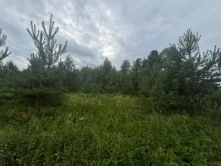 Земельный участок, 1723 м², Московская область, с КН 50:29:0040704:351. Площадь: 1723 м². Кадастровый номер: 50:29:0040704:351. Основной вид разрешенного использования: 2.1.