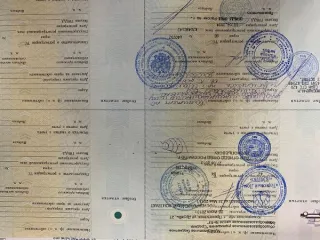 Автобус для перевозки детей ПАЗ 32053-70, идентификационный номер Х1М32058ХD0001894, год изготовления 2013, категория D, модель номер двигателя 523420 D1002683, кузов № Х1М32058ХD0001894, цвет кузова желтый, мощность двигателя 122,4 л.с., рабочий объем двигателя 4670, тип двигателя бензиновый…