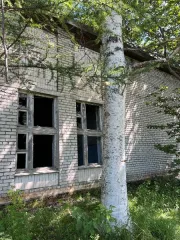 Канализационные насосные станции, здания общей площадью 390.6 кв.м в Хабаровском крае. Комплекс включает: Здание канализационной насосной станции №1, нежилое, 1-этажное, площадью 19.6 кв.м, кадастровый номер 27:21:0105014:47; Здание насосной станции перекачки, нежилое, 1-этажное, площадью 20 кв.м…