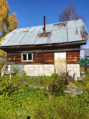 Нежилое помещение, площадь: 16,5кв.м, кадастровый номер: 42:12:0102013:2207, 
Земельный участок , площадь: 1 002кв.м, кадастровый номер: 42:12:0102013:443, Категория земель: Земли населенных пунктов, Вид разрешенного использования: садоводство
Адрес: Кемеровская обл, р-н Таштагольский, пгт…