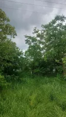 Жилой дом, 42,1 кв. м, Краснодарский край. Жилой дом, площадь 42,1 кв. м. в Краснодарском крае. Жилой дом, площадь 42,1 кв. м., адрес (местонахождение): Россия, край Краснодарский, р-н Крымский, с\п Киевское, х. Карла Маркса, дом 14, кадастровый (условный) номер: 23:15:0417001:113. Без координат…