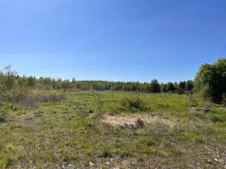 Земельный участок площадью 1891389 кв.м., кад. № 12:03:0202001:73, расположенный по адресу: РМЭ, Килемарский район, в восточной части кад.квартала №12:03:0202001 Вид разрешённого использования земельного участка: 1.0