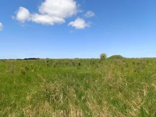 Земельный участок 104 000 +/- 113 кв. м, кадастровый номер 39:03:080821:139, местоположение установлено относительно ориентира, расположенного в границах участка, почтовый адрес ориентира: Калининградская обл., Гурьевский р-н, юго-западнее п. Голубево, с северо-запада от железной дороги. Категория…