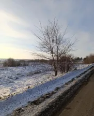 Участок 800 кв.м в Ростовской области, Октябрьский район, хутор Красный Луч, улица им. В.П. Гончарова, 5. Категория земель: земли населенных пунктов. Разрешенное использование: для индивидуальных жилых домов, личного подсобного хозяйства. Кадастровый номер: 61:28:0600009:1444. Участок находится в…