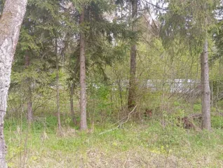 Земельный участок 940 +/  11 кв.м. и объект незавершенного строительства в Московской обл. еще Земельный участок, площадь 940 +/  11 кв.м., адрес  местонахождение : Местоположение установлено относительно ориентира, расположенного за пределами участка. Ориентир жилой дом. Участок находится примерно…