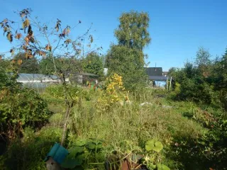 Земельный участок площадью 1135 кв.м, расположенный по адресу: Российская Федерация, Санкт-Петербург, внутригородское муниципальное образование города федерального значения Санкт-Петербурга муниципальный округ Константиновское, территория Сергиево, улица Карла Маркса, земельный участок 2…