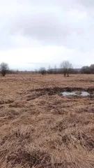 Земельный участок, 735 кв.м, Московская область, кадастровый номер: 50:23:0050446:1473, расположенный по адресу: Российская Федерация, Московская область, Раменский, сельское поселение Рыболовское, земельный участок расположен в центральной части кадастрового квартала 50:23:0050446.