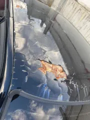 ВАЗ 21101 LADA 110 2007 года выпуска, VIN: ХТА21101071052769. УАЗ-469, госномер: Е093АС22. TOYOTA IPSUM, госномер: С053АУ 04. ВАЗ-21093. ЗИЛ 131 СПК7. Подлежат реализации по прямому назначению.