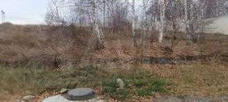 Земельный участок кадастровый номер 24:11:0330106:4530, площадь 49 кв.м, категория земель: земли сельскохозяйственного назначения, разрешенное использование для ведения дачного хозяйства, адрес: Красноярский край, Емельяновский район, п. Сухая Балка, ул. Беренгова.
