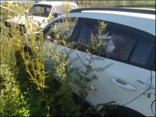 Kia Rio 2018, Toyota Vista 1992, VAZ 21099 2003. Kia Rio, госномер А779НО122, 2018 г.в., VIN: Z94C251ABJR018726 (документы отсутствуют, ключи в наличии). Toyota Vista, госномер Н316ВС154, 1992 г.в., № кузова SV350024421 (документы в наличии, ключи отсутствуют). ВАЗ 21099, госномер О031ЕА, 154…