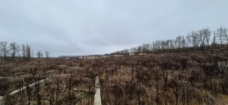 Земельный участок 800 кв.м, д. Янчерево, г. Тула, Тульская область, кадастровый номер 71:14:040601:3396