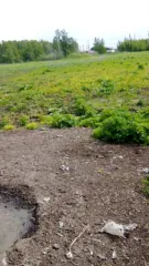 Требования к ООО "Альфа" 1,5 млн руб