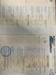 Автобус для перевозки детей ПАЗ 32053-70, идентификационный номер Х1М3205СХ0003912, год изготовления 2012, категория D, модель номер двигателя 523400 С1005597, кузов № Х1М3205СХС0003912, цвет кузова желтый, мощность двигателя 124 л.с., рабочий объем двигателя 4670, тип двигателя бензиновый…