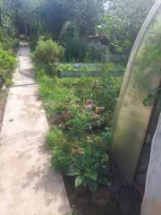 Доля в доме 19.1 кв.м и участке 608 кв.м, Воткинск, Удмуртия. 1/4 доля дома и 1/4 доля земельного участка. Площадь дома: 19.1 кв.м, назначение: нежилое. Площадь участка: 608 кв.м, назначение: земли населенных пунктов. Адрес: Россия, Удмуртская Республика, г. Воткинск, СНТ "Сад № 2", участок № 90…