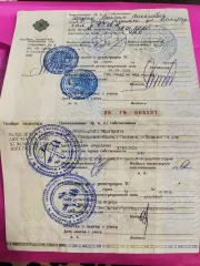 Toyota Ractis 2006 года выпуска, VIN-номер: отсутствует, гос. номер А 946 РУ 67
