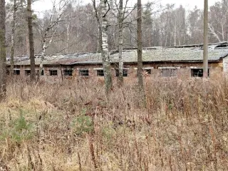 Свинарник нежилое 1513 кв.м Нижегородская область свинарник (нежилое), площадь: общая 1 513,00 кв.м, кадастровый номер 52:24:0110002:2149, находящийся по адресу: Нижегородская область, Богородский район, западнее ДНП "Далекая страна"* 
Общая площадь: 1513 
Кадастровый номер: 52:24:0110002:2149…