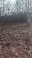 Право аренды земельного участка 1205 кв.м Владимирская обл право аренды земельного участка во Владимирской обл., 1205+/-12 кв.м. Право аренды земельного участка, общей площадью 1205 +/- 12 кв.м., кадастровый номер: 33:12:011239:598, разрешенное использование - под жилую застройку индивидуальную…