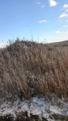 Земельный участок, площадью 1401+/-26 кв.м, кадастровый №24:11:0290105:2716, расположенный по адресу: Красноярский край, Емельяновский район, Солонцовский сельсовет, земельный массив СПК «Солонцы», северо-западная часть кадастрового квартала 24:11:0290105. Обременения: запреты судебного пристава…