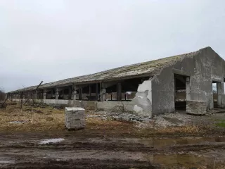 Земельный участок, кадастровый номер 39:07:030001:44, адрес: РФ, Калининградская обл., р н Неманский, п. Мичуринский, территория  Ферма Дубки , площадь 76900 +/  1923 кв. м.  Объект незавершенного строительства, кадастровый номер 39:07:000000:511, адрес: РФ, Калининградская обл., р н Неманский, п…