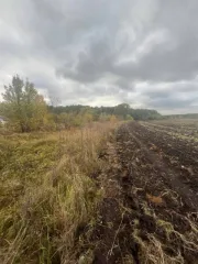 Земельный участок 600 кв.м, Липецкая область. Земельный участок в Липецкой обл., 600 кв.м. Земельный участок в Липецкой обл., 600 кв.м. Земельный участок, площадь: 600кв.м., адрес (местонахождение): Российская Федерация, Липецкая область, Добровский муниципальный район, сельское поселение…