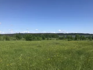 Земельный участок - 29 973 +/- 61 кв. м, кадастровый номер 59:20:3390101:1722, земли сельскохозяйственного назначения - для садоводства, земельный участок фактически представляет собой автомобильную облегченную дорогу с переходным типом дорожного покрытия
Адрес: местоположение установлено…