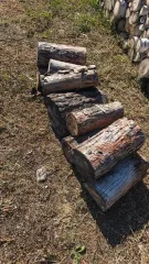 Древесина породы сосна в чурках 0,4 м 10 шт, лиственница 4 м, 2 м древесина породы сосна в чурках сортиментом по 0,4 м, в количестве 10 шт, объемом 0,065 плот. куб. м. Количество и породный состав древесины: древесина породы лиственница сортиментом по 4 м. В количестве 6 шт., сортиментом по 2 м. в…