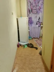 Жилое помещение 32.5 кв.м во Владимирской области. Квартира общей площадью 32,5 кв.м, расположенная по адресу: Владимирская область, город Владимир, улица Лермонтова, дом 26в, квартира 12. Кадастровый номер: 33:22:032084:745.